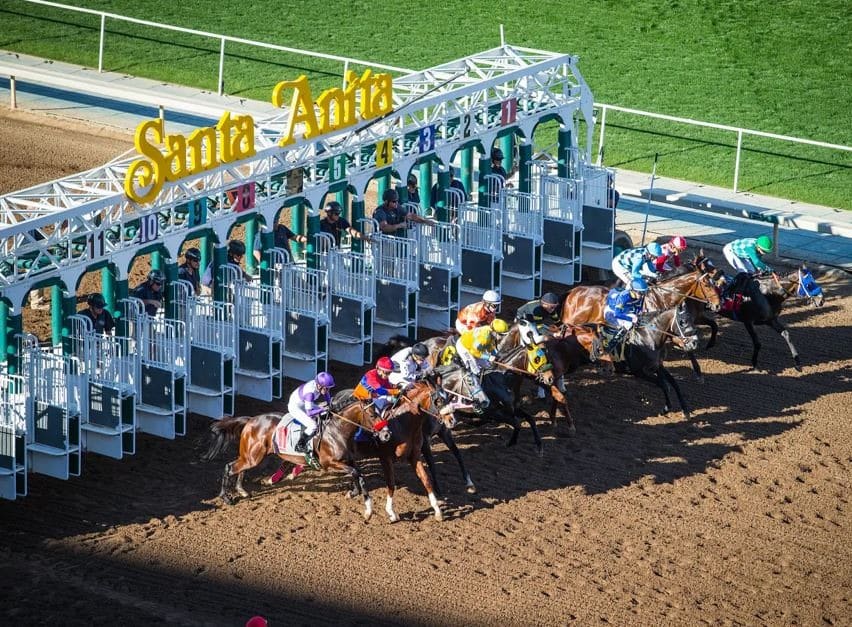 California Officials Remove Santa Anita’s Racing On Demand Machines Days After Installation