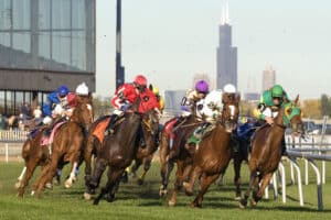 Illinois Racing Board Suspends Harness Racing at Hawthorne