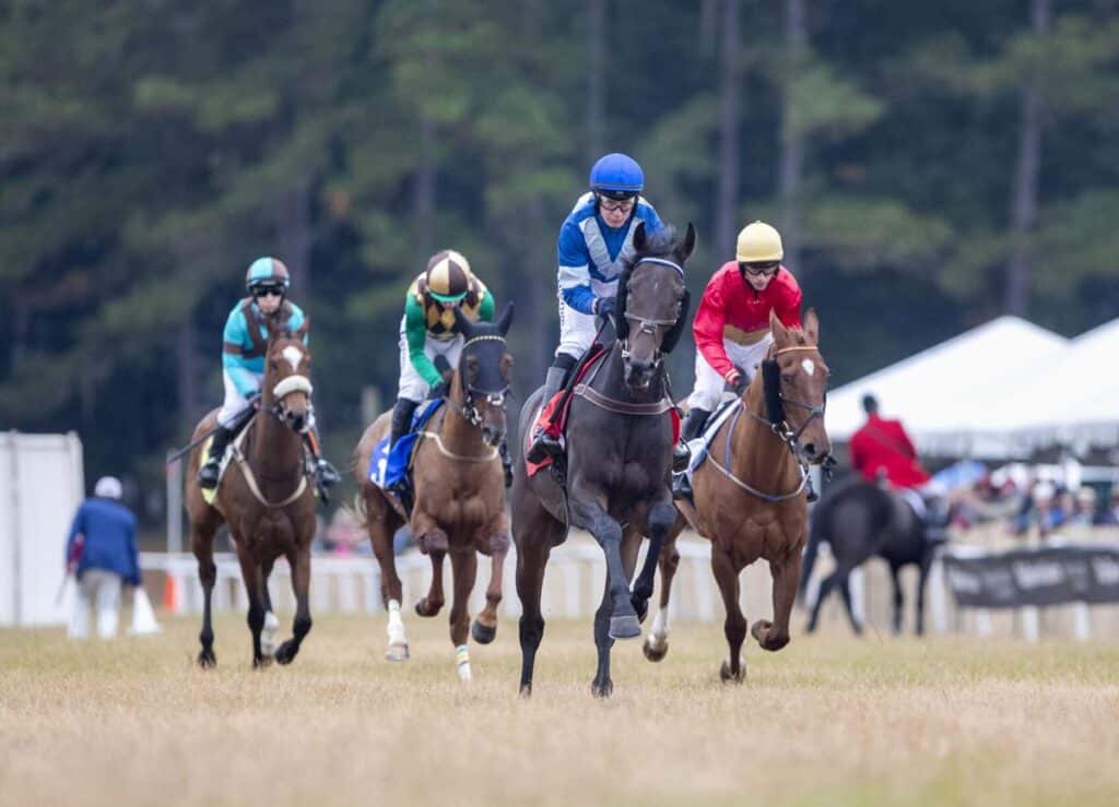 South Carolina Senate Committee Advances Equine Advancement Act Horse Racing Bill