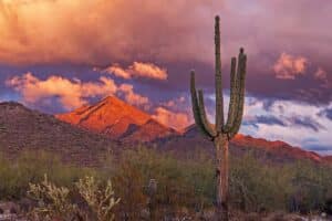 Arizona Charges Kalshi in First State Criminal Case Against Prediction Market