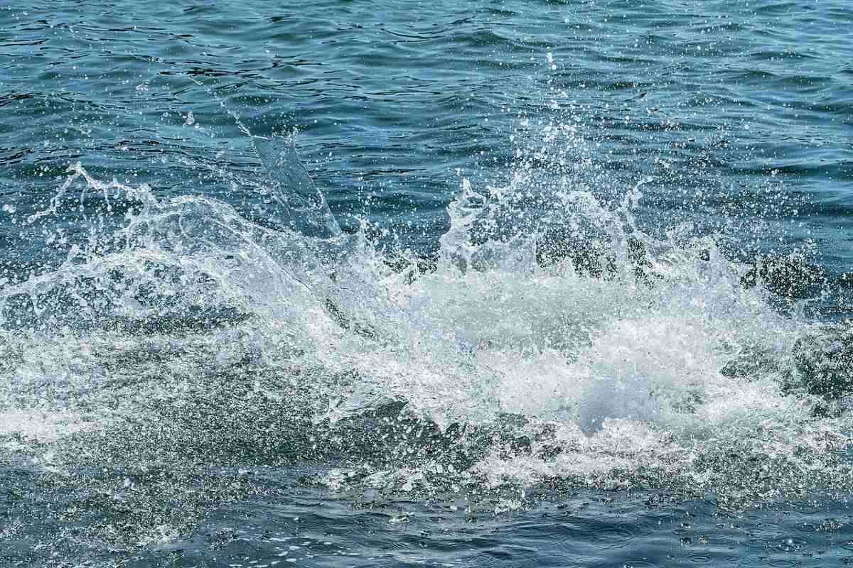 splash